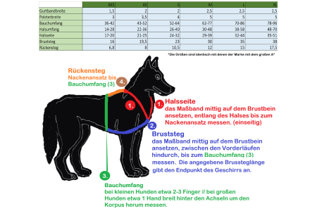 *Angebot* Gr.L, Maigrün/Hexagon, get. Bruststeg